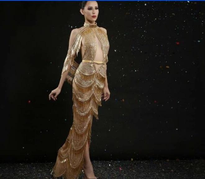 Đầm dạ hội giúp Tân hoa hậu Mexico đăng quang Miss Universe bị nghi đạo nhái-3
