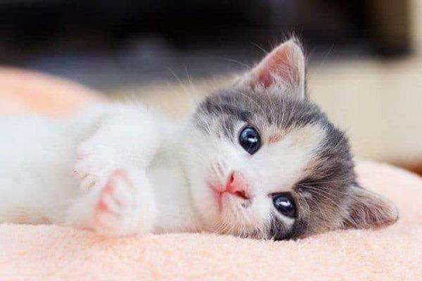 Tháng 6 có quá nhiều điều tốt lành, vận may chiếu cố những người mệnh này-3