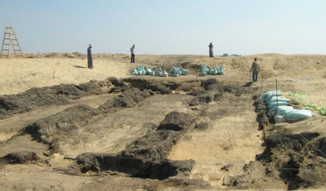 Xác ướp không phải người để lộ manh mối về Ai Cập xanh-2