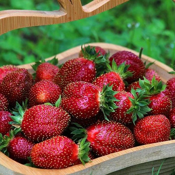 Loại quả mọng yêu thích bật mí tài năng thiên bẩm của bạn-3