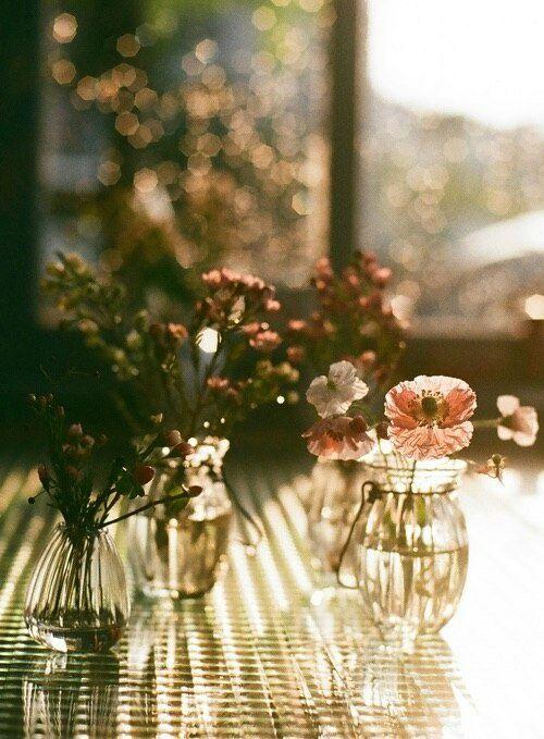 Tử vi 12 cung hoàng đạo thứ Ba ngày 25/5/2021: Kim Ngưu bất ngờ được tỏ tình-1