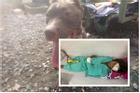 Chó Pitbull cắn chết người ở Long An: Vẫn chưa tìm ra danh tính nạn nhân