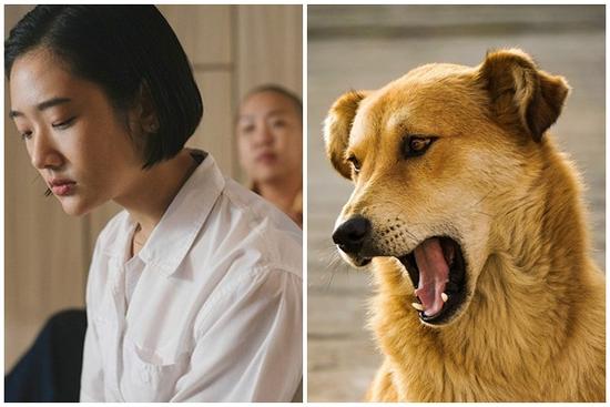 Bất ngờ phát hiện bị 'cắm sừng' nhờ tiếng chó sủa nhà anh hàng xóm