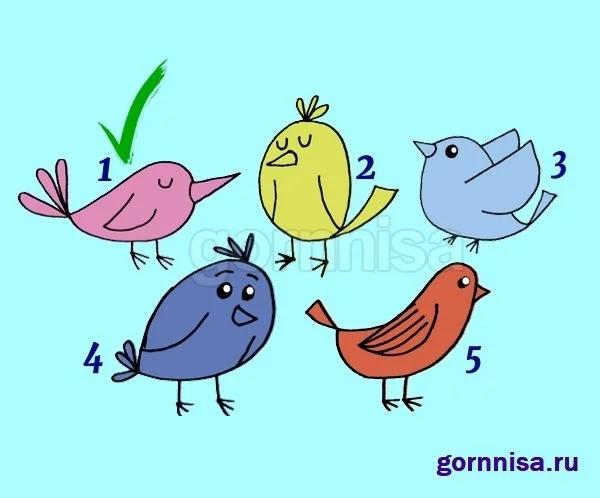 Chọn chú chim yêu thích giải mã lý do khiến bạn giao tiếp không hiệu quả-2