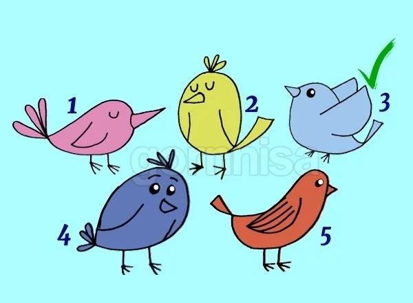 Chọn chú chim yêu thích giải mã lý do khiến bạn giao tiếp không hiệu quả-4