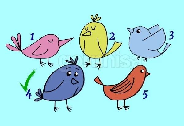 Chọn chú chim yêu thích giải mã lý do khiến bạn giao tiếp không hiệu quả-5
