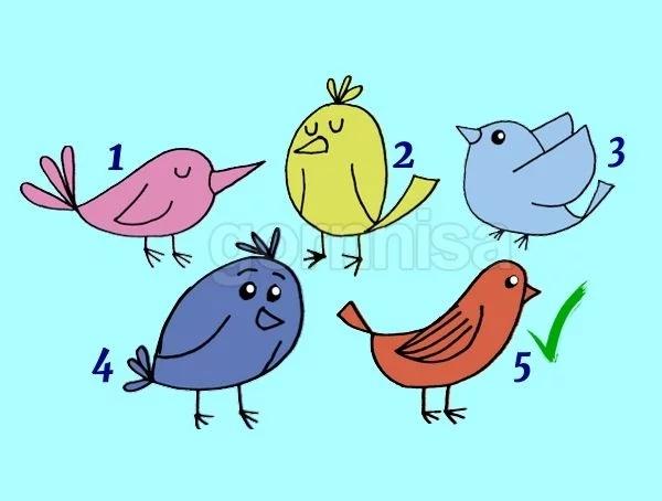 Chọn chú chim yêu thích giải mã lý do khiến bạn giao tiếp không hiệu quả-6