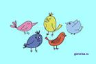 Chọn chú chim yêu thích giải mã lý do khiến bạn giao tiếp không hiệu quả