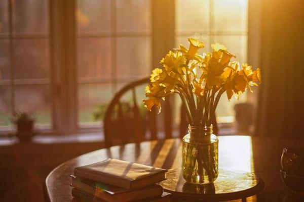 Tử vi thứ Tư ngày 26/5/2021 của 12 con giáp: Mão dễ dính họa mất tiền-5