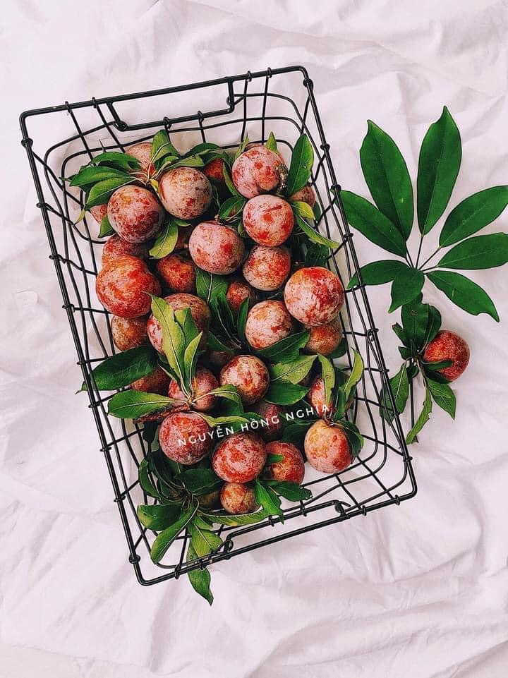 Mùa mận đến rồi, vào bếp để vừa có ô mai mận ăn vặt, vừa có siro chua ngọt giải nhiệt mùa hè-2