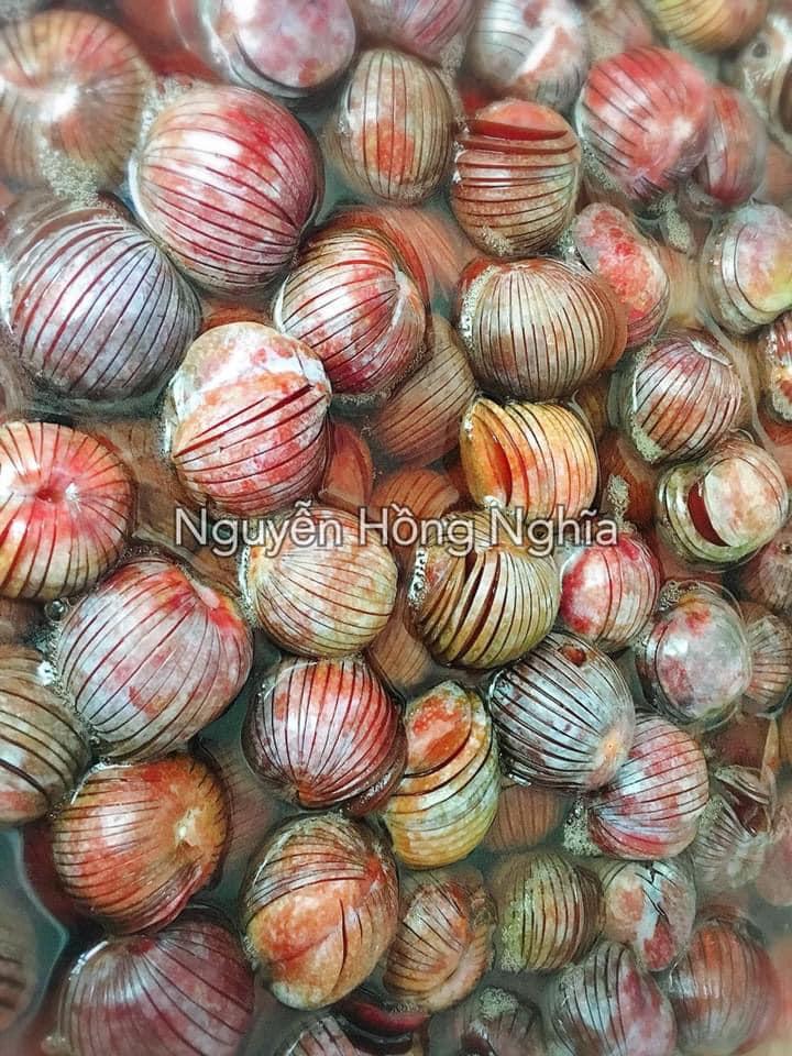 Mùa mận đến rồi, vào bếp để vừa có ô mai mận ăn vặt, vừa có siro chua ngọt giải nhiệt mùa hè-4