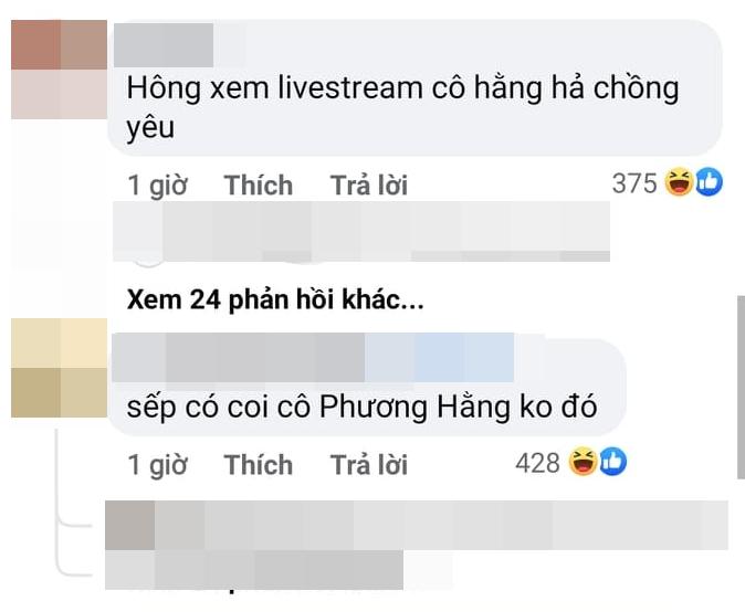 Fan giục Sơn Tùng vào xem livestream Phương Hằng, biết đâu ra được bài mới-2