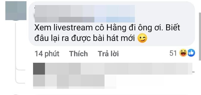 Fan giục Sơn Tùng vào xem livestream Phương Hằng, biết đâu ra được bài mới-3