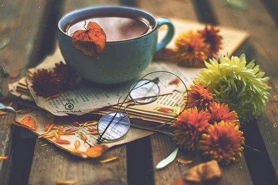 Tử vi 12 cung hoàng đạo thứ Năm ngày 27/5/2021: Bao công sức của Xử Nữ được đền đáp