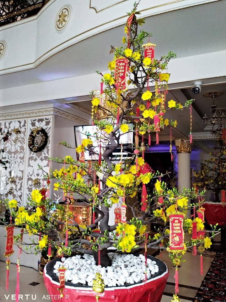 Ảnh cận từng ngóc ngách biệt thự 2.400m2 bà Phương Hằng ở trung tâm Sài Gòn-13