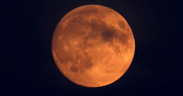 Dân mạng Việt Nam đua nhau khoe ảnh chụp siêu hoa trăng máu-1