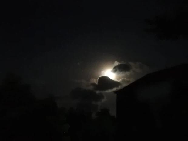 Dân mạng Việt Nam đua nhau khoe ảnh chụp siêu hoa trăng máu-4