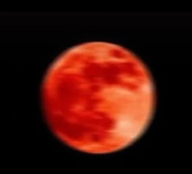 Dân mạng Việt Nam đua nhau khoe ảnh chụp siêu hoa trăng máu-7