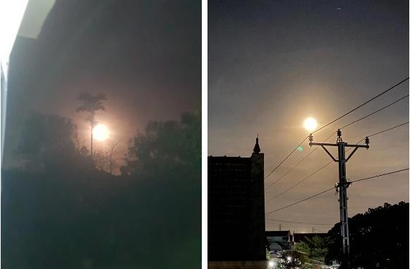 Dân mạng Việt Nam đua nhau khoe ảnh chụp siêu hoa trăng máu-10