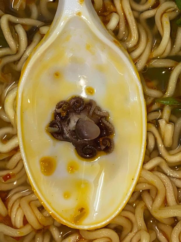 Gọi bát mì bạch tuộc, cô gái vừa ăn vừa rớt nước mắt-2