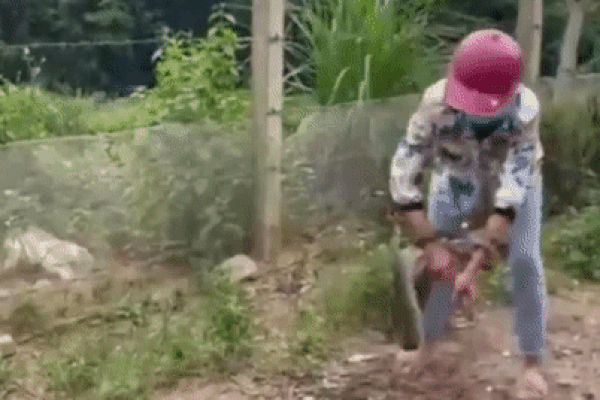 Kinh hãi: Cụ bà tay không xử đẹp bé Na, con đứng ngoài la hét thất thanh-1