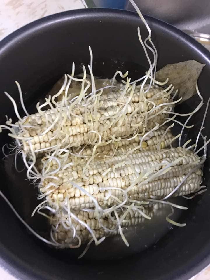 Bỏ quên bắp ngô trong nồi áp suất, chủ thớt hết hồn ngày mở ra-2