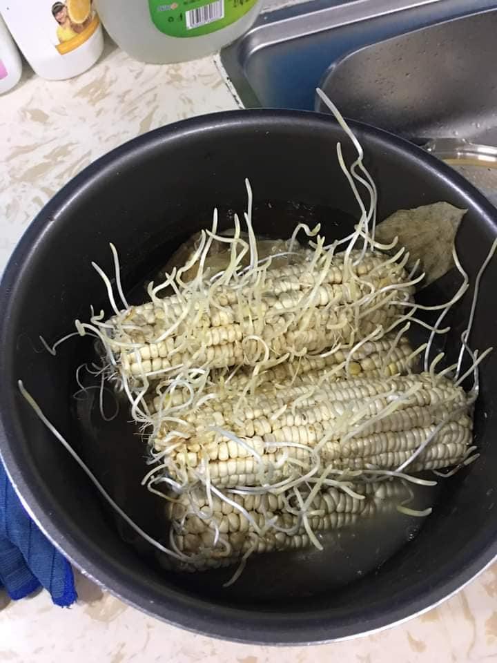 Bỏ quên bắp ngô trong nồi áp suất, chủ thớt hết hồn ngày mở ra-3