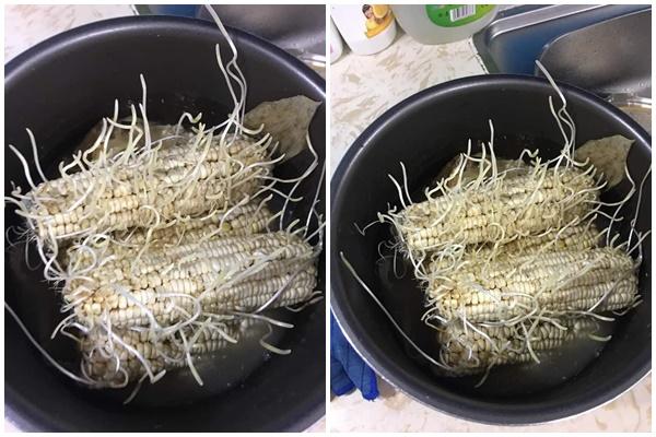 Luộc ngô nhớ bỏ thêm 2 nguyên liệu giúp ngô vừa ngọt vừa dẻo-2