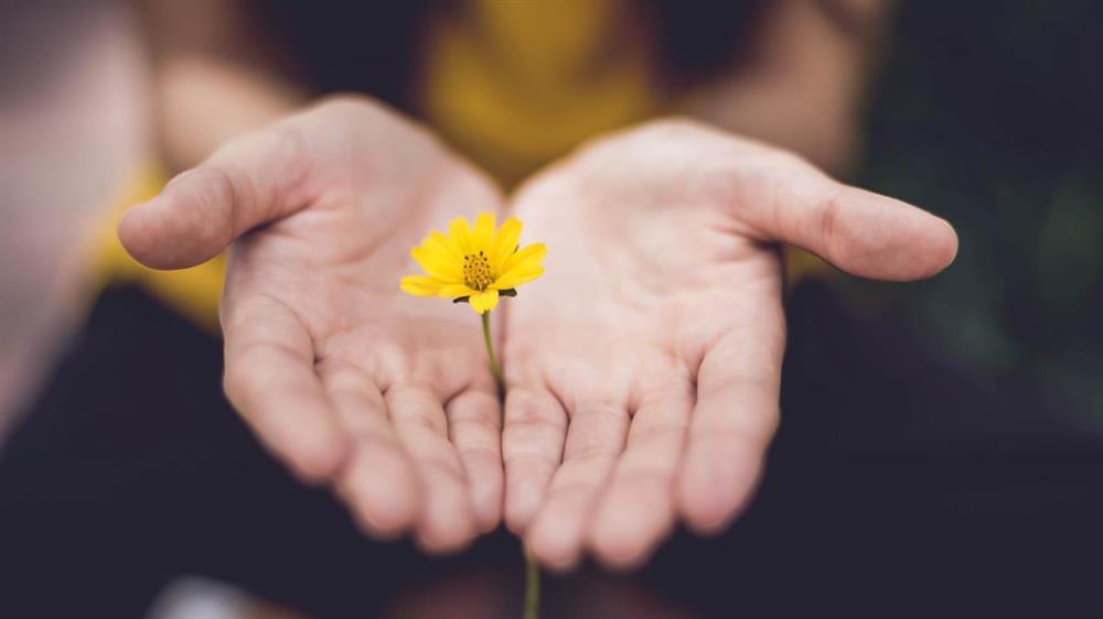 Những con giáp cuối tuần may mắn, thị phi sợ hãi tránh xa-3