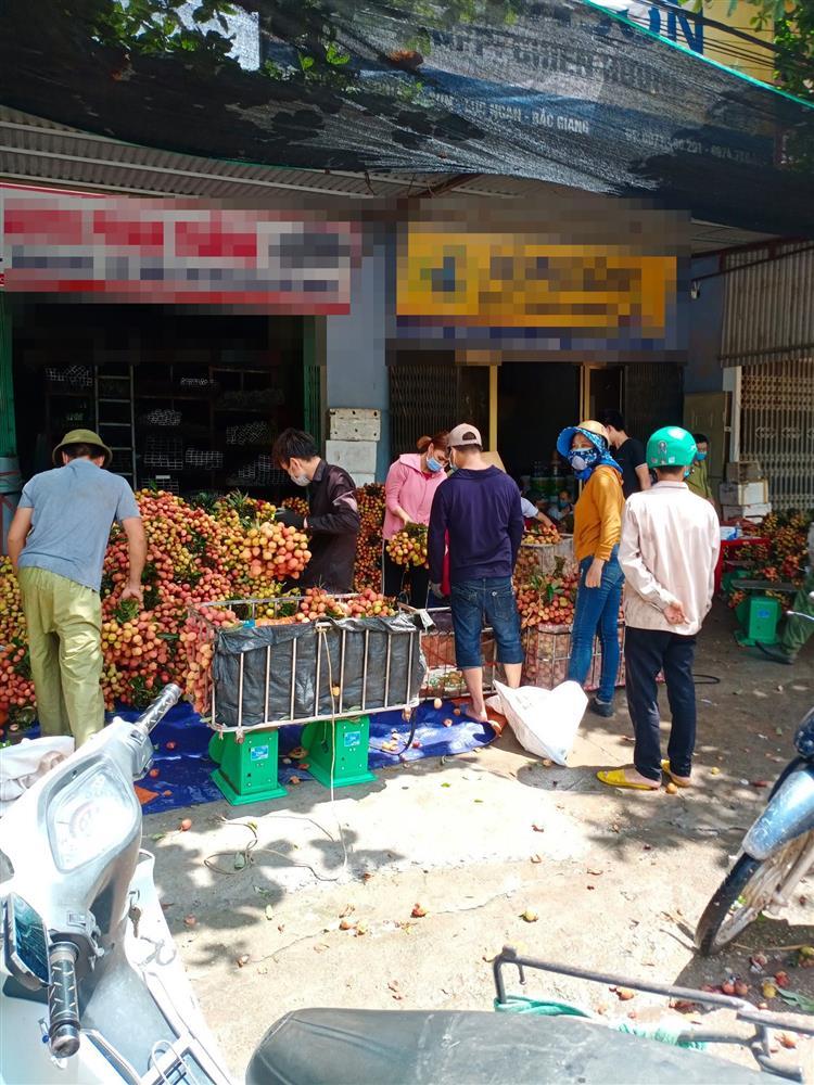 Người tung tin vải Bắc Giang bị ép giá 2k/cân: Bức xúc cá nhân nên đưa tin fake-2