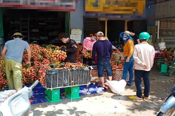 Cách làm cá ướp nghệ sốt cà chua-1