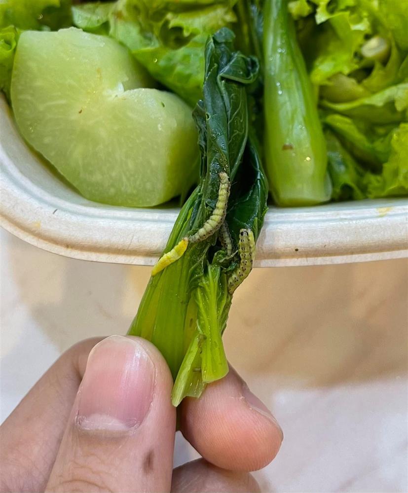 Ngô Kiến Huy phát hờn khi sơ chế rau 7749 bước vẫn đứng hình vì thứ đáng sợ-1