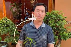 8X Bình Định đắm đuối với nghiệp trồng lan