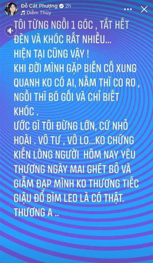 Bài đăng bảo vệ Hoài Linh của Cát Phượng bay màu khó hiểu-3