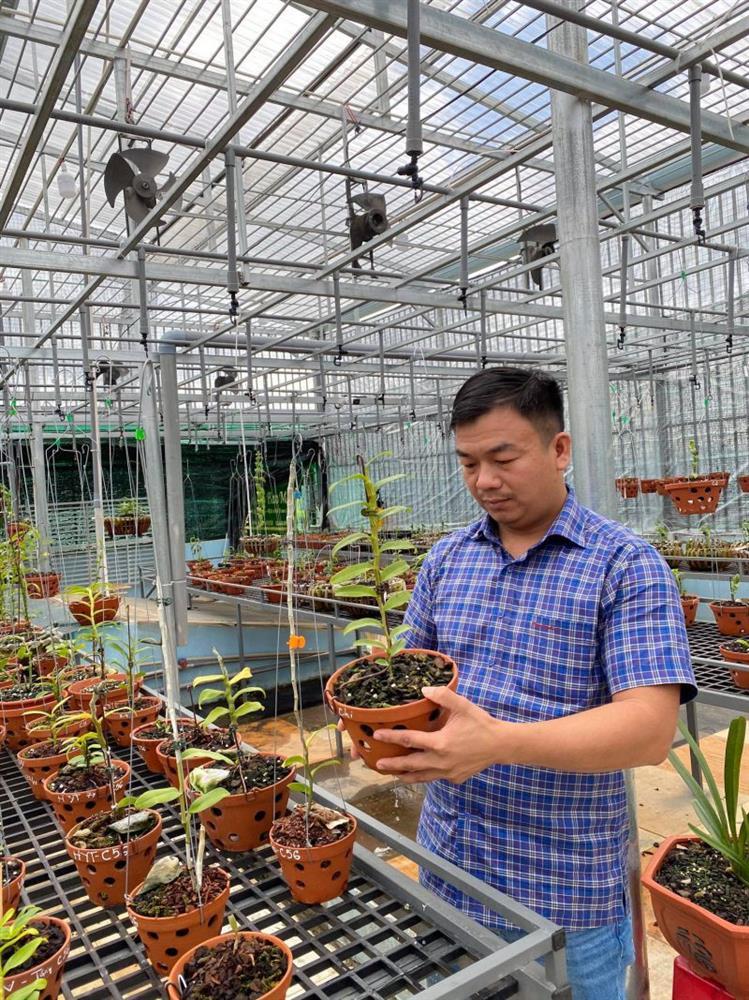 Vườn lan 1.500 chậu của ông chủ ‘chịu chơi’ Buôn Ma Thuột-2