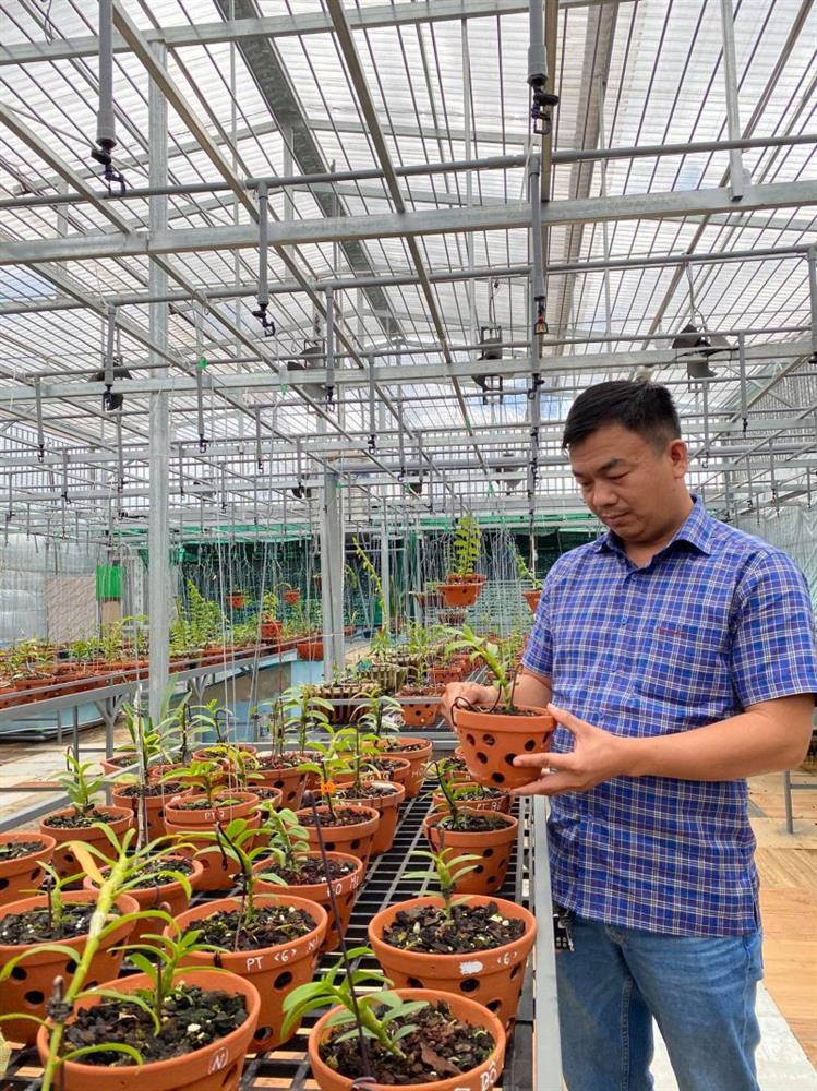 Vườn lan 1.500 chậu của ông chủ ‘chịu chơi’ Buôn Ma Thuột-3