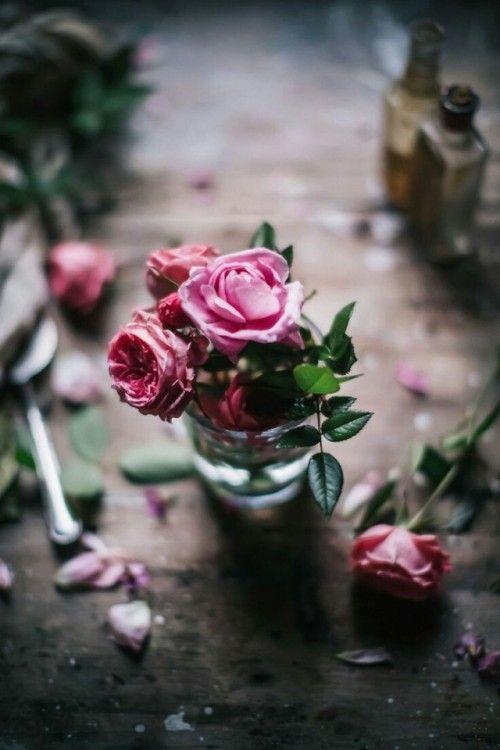 Tử vi 12 cung hoàng đạo thứ Hai ngày 31/5/2021: Sư Tử hứa hẹn tạo nên bước đột phá-3