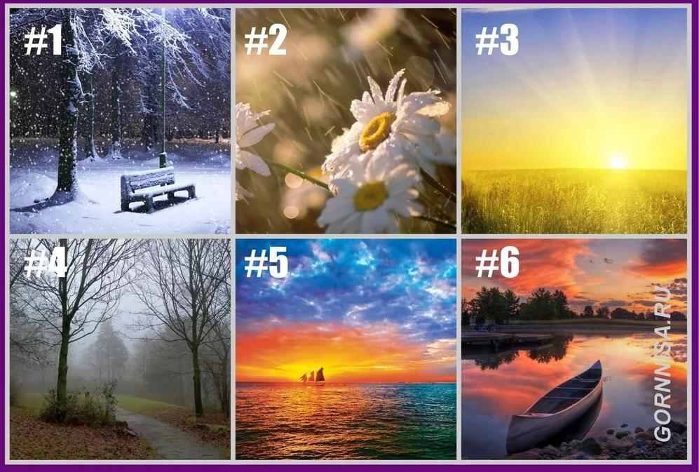 Phong cảnh yêu thích tiết lộ lập trường của bạn khi xảy ra tranh luận-1