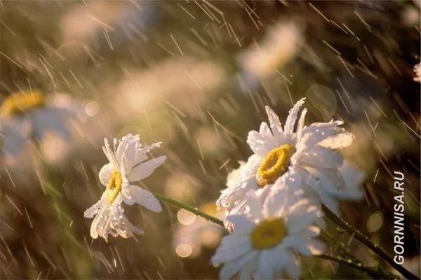 Phong cảnh yêu thích tiết lộ lập trường của bạn khi xảy ra tranh luận-3