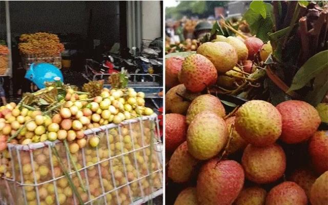 Cảnh người dân Bắc Giang dầm mình trong mưa để giải cứu vải khiến ai xem cũng rơm rớm nước mắt-1