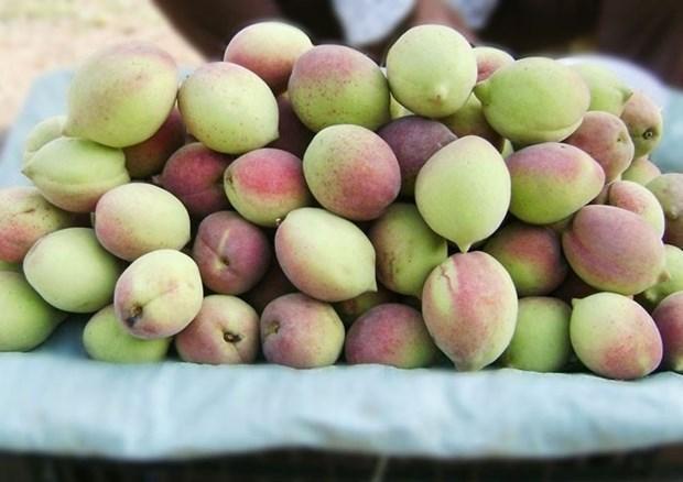 Cách tẩy sạch hóa chất và lông trên quả đào tức thì, bạn khỏi cần gọt vỏ khi ăn-1