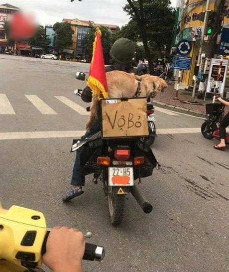 Cái kết cười ra nước mắt cho những ông chồng dám... thắng vợ-12