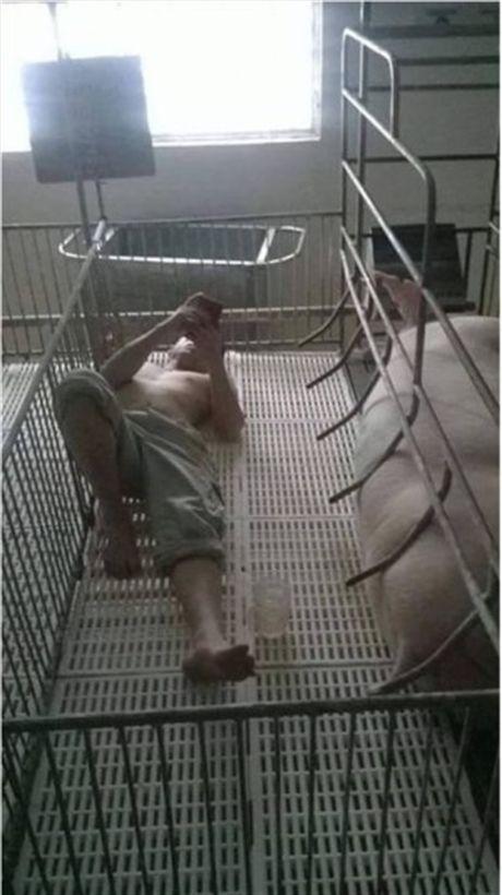 Cái kết cười ra nước mắt cho những ông chồng dám...  thắng vợ-13