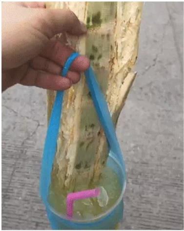 Phiên bản ly nước mía cục súc khi đi mua hàng đúng ngày chủ quán khó ở-1