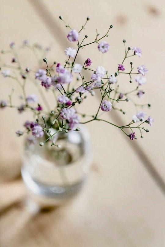 12 cung hoàng đạo thứ Ba ngày 1/6/2021: Xử Nữ rối trí chẳng thể thoát ra được-1