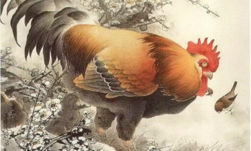 Gà gáy sang canh ngày 1/6: 3 con giáp Thiên Hoàng độ mệnh làm đâu trúng đó-2