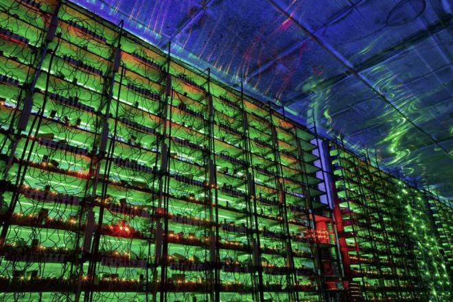 Lao đao nghề đào Bitcoin: Từ ông vua đến kẻ không chốn dung thân-3