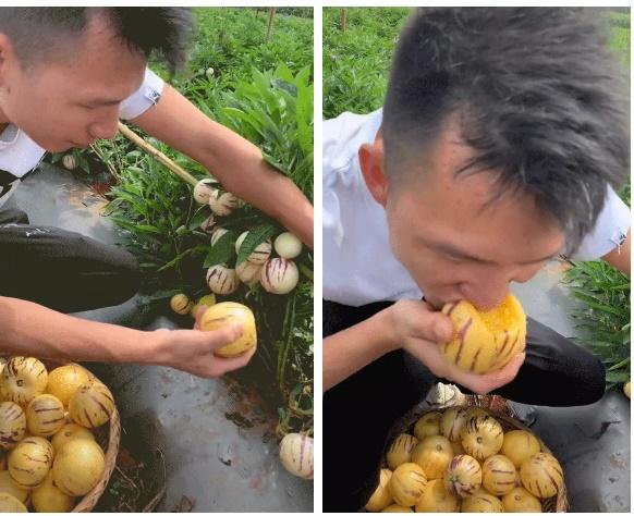 Loại dưa hấu màu vàng với cái tên rất Tây có đầy nhưng nhiều người vẫn lắc đầu không biết-1