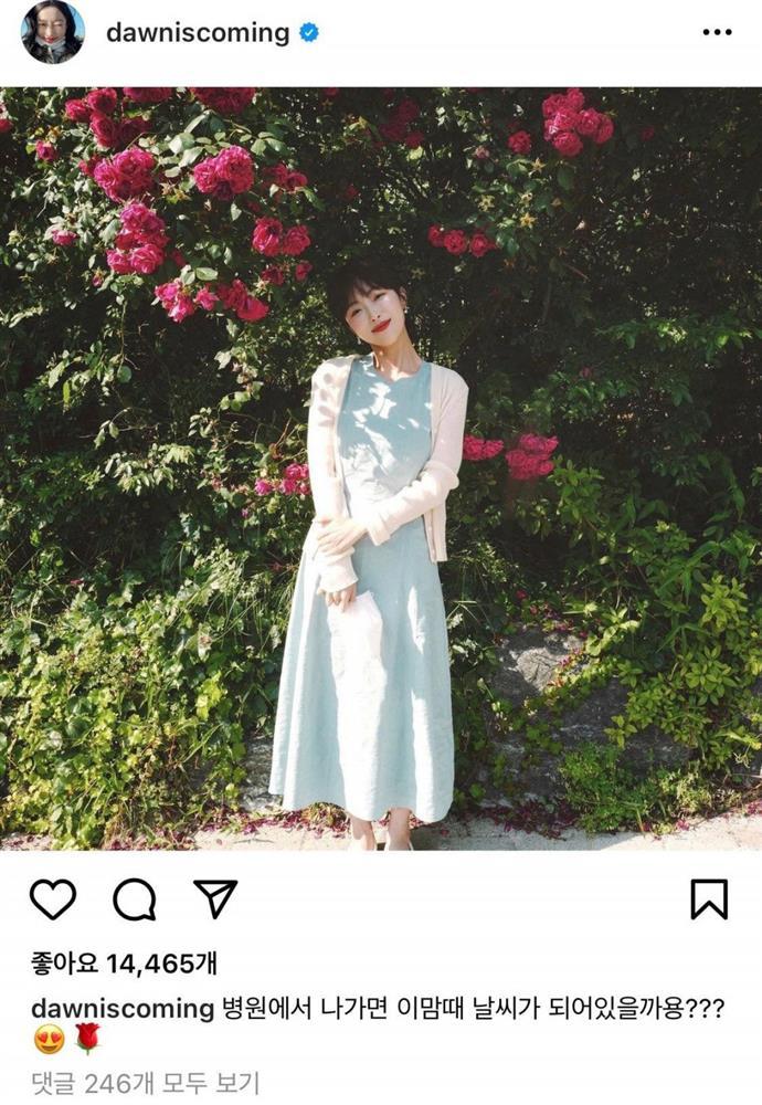 Beauty blogger xinh đẹp viết nhật ký nữ chiến binh chống ung thư qua đời-5