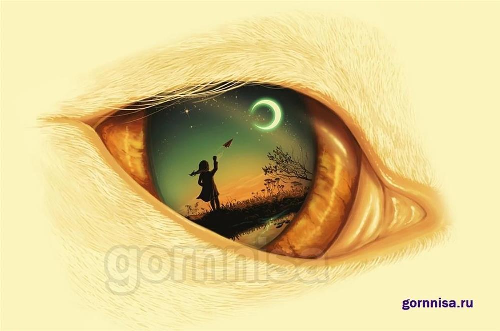 Hình ảnh nhìn thấy đầu tiên tiết lộ phẩm chất bạn cần phát huy-1